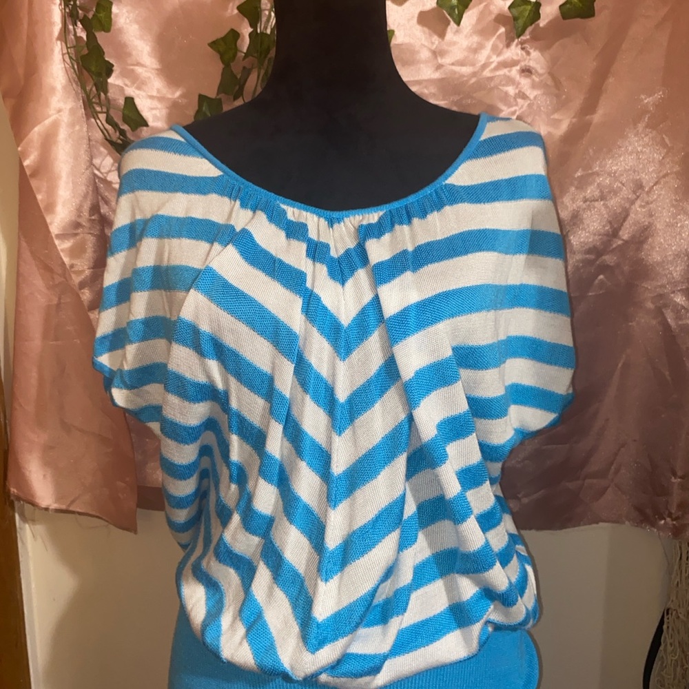 New York & Company Blue and White Striped Blouse